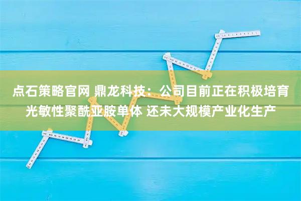 点石策略官网 鼎龙科技：公司目前正在积极培育光敏性聚酰亚胺单体 还未大规模产业化生产